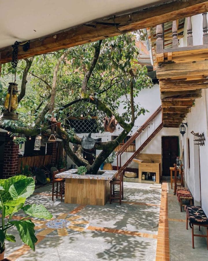 Inner patio with tree