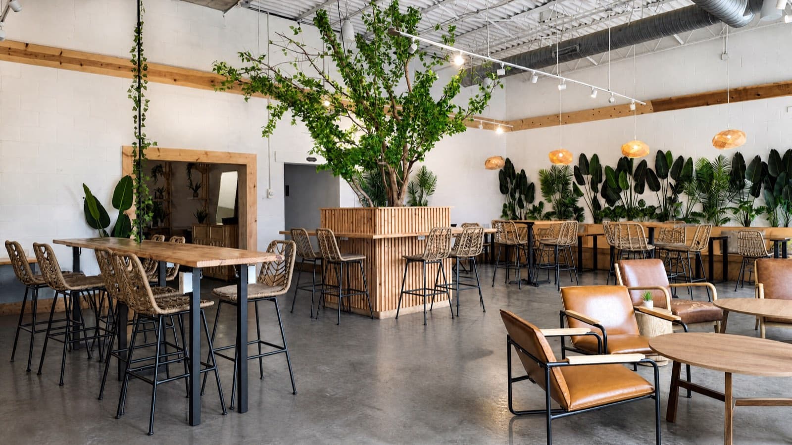 Interior de Sumaq Coffee — espacio con plantas, mesas de madera y barra
