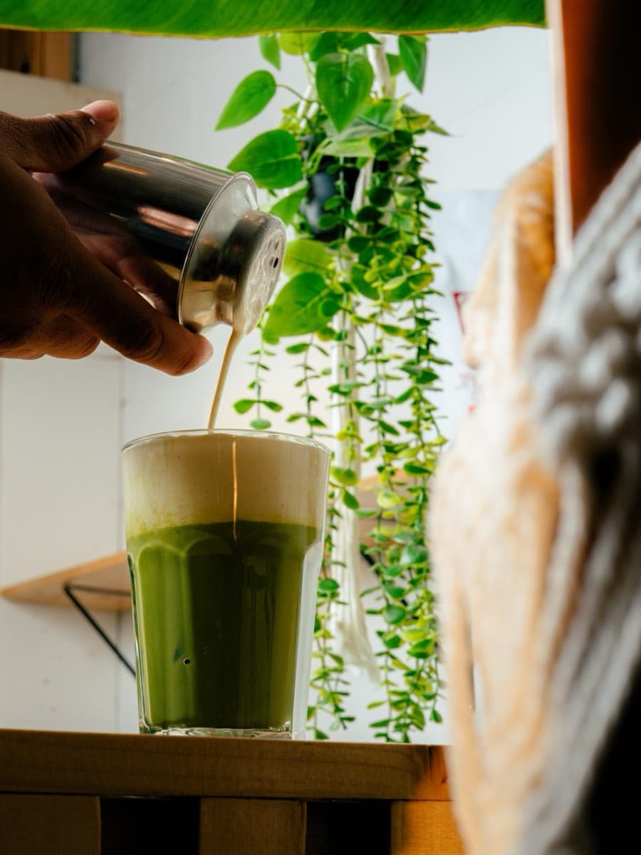 Matcha latte preparándose con plantas de fondo